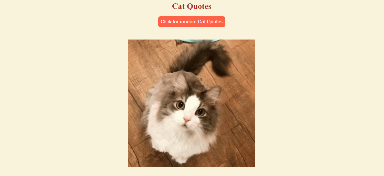 random cat quotes